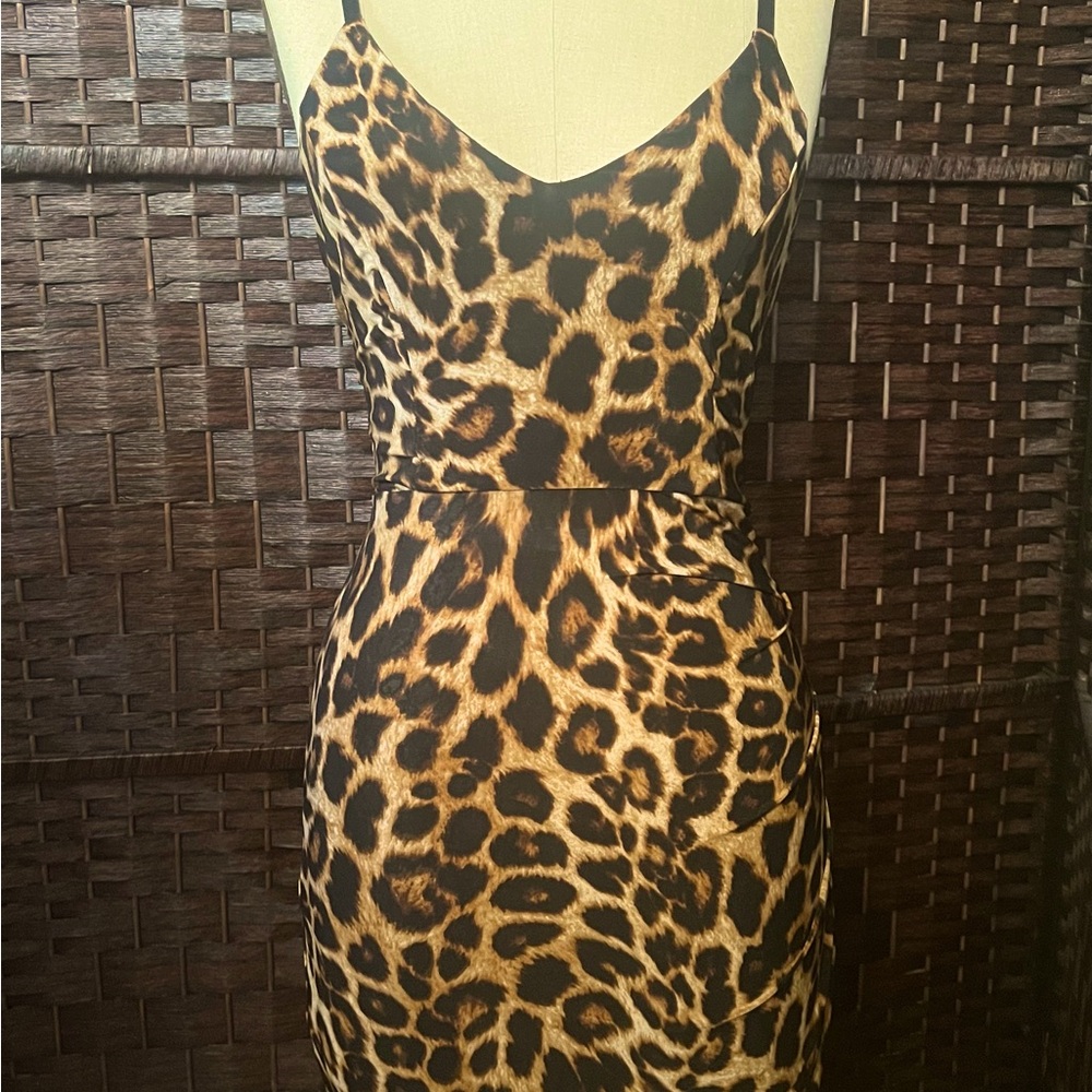 Leopard print FashionNova dress.